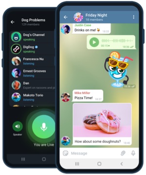 Настройки приватности Telegram на iPhone с Face ID и облачным паролем